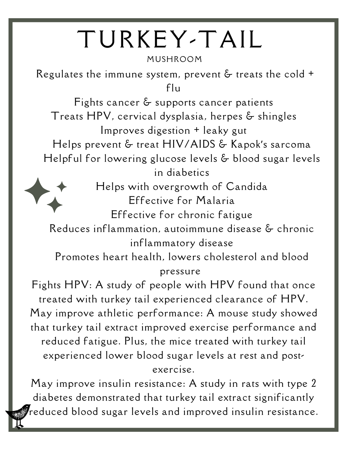 Turkey Tail Immune Support Glycerite