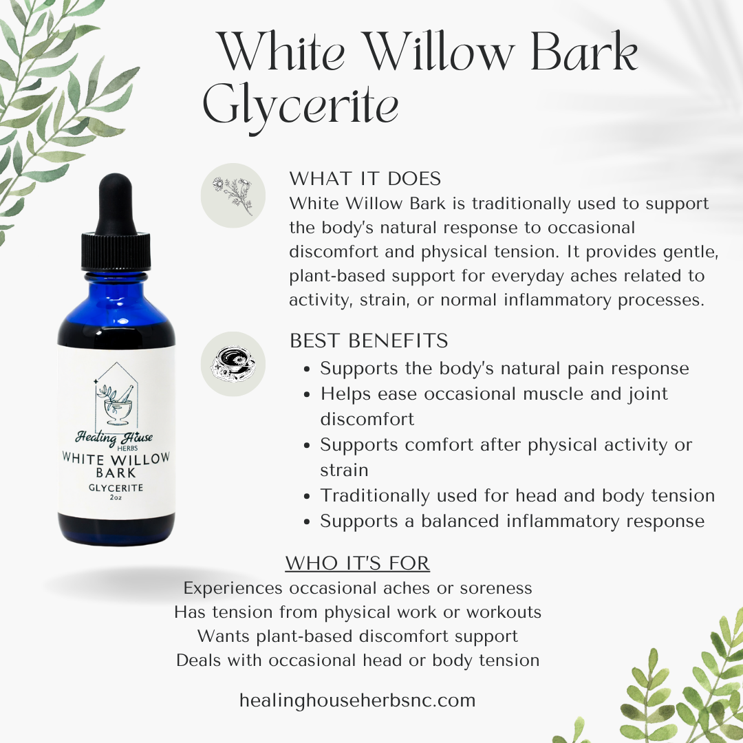 White Willow Bark Glycerite