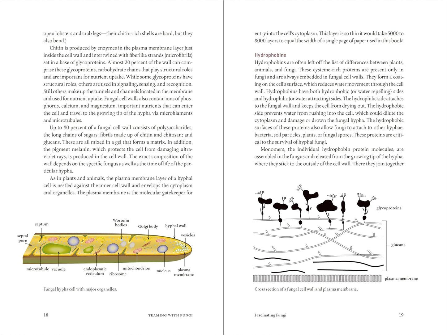 Teaming with Fungi: The Organic Grower’s Guide to Mycorrhizae