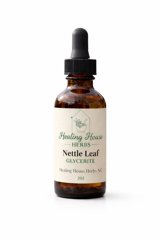 Nettle Leaf Glycerite