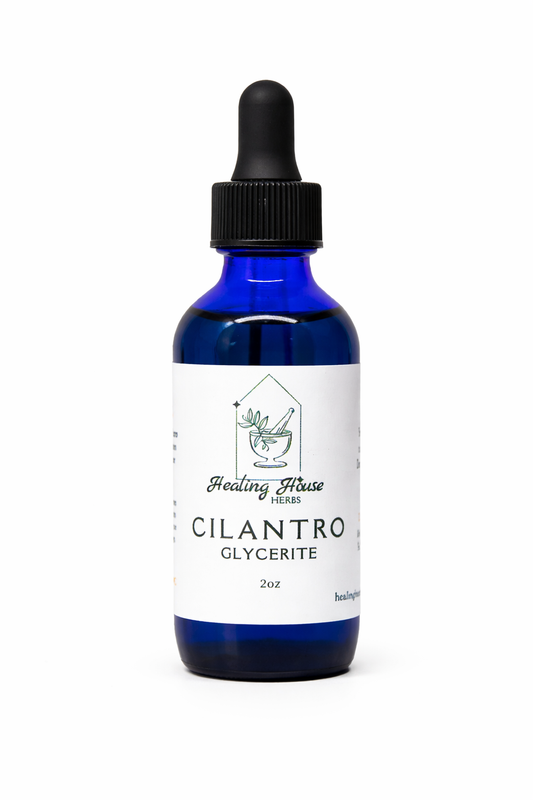 Cilantro Glycerite
