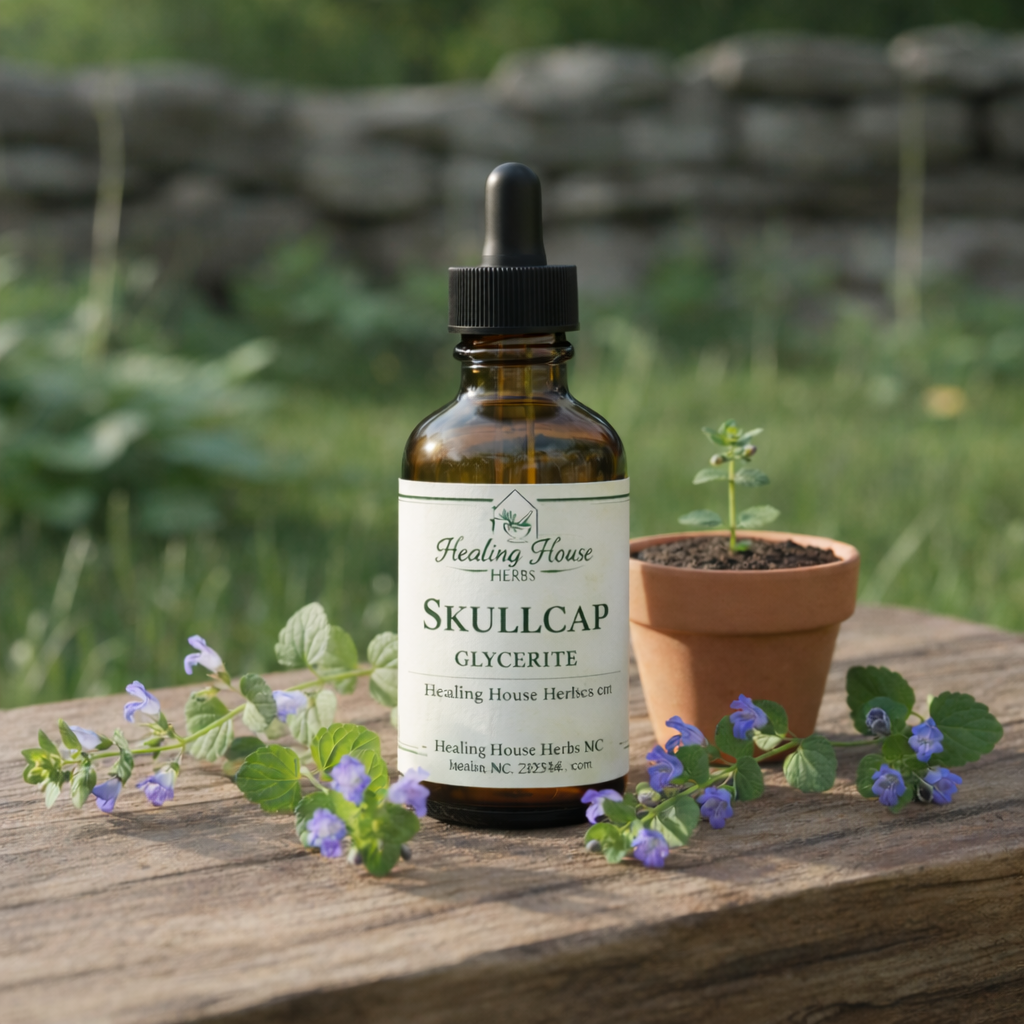 Skullcap Glycerite