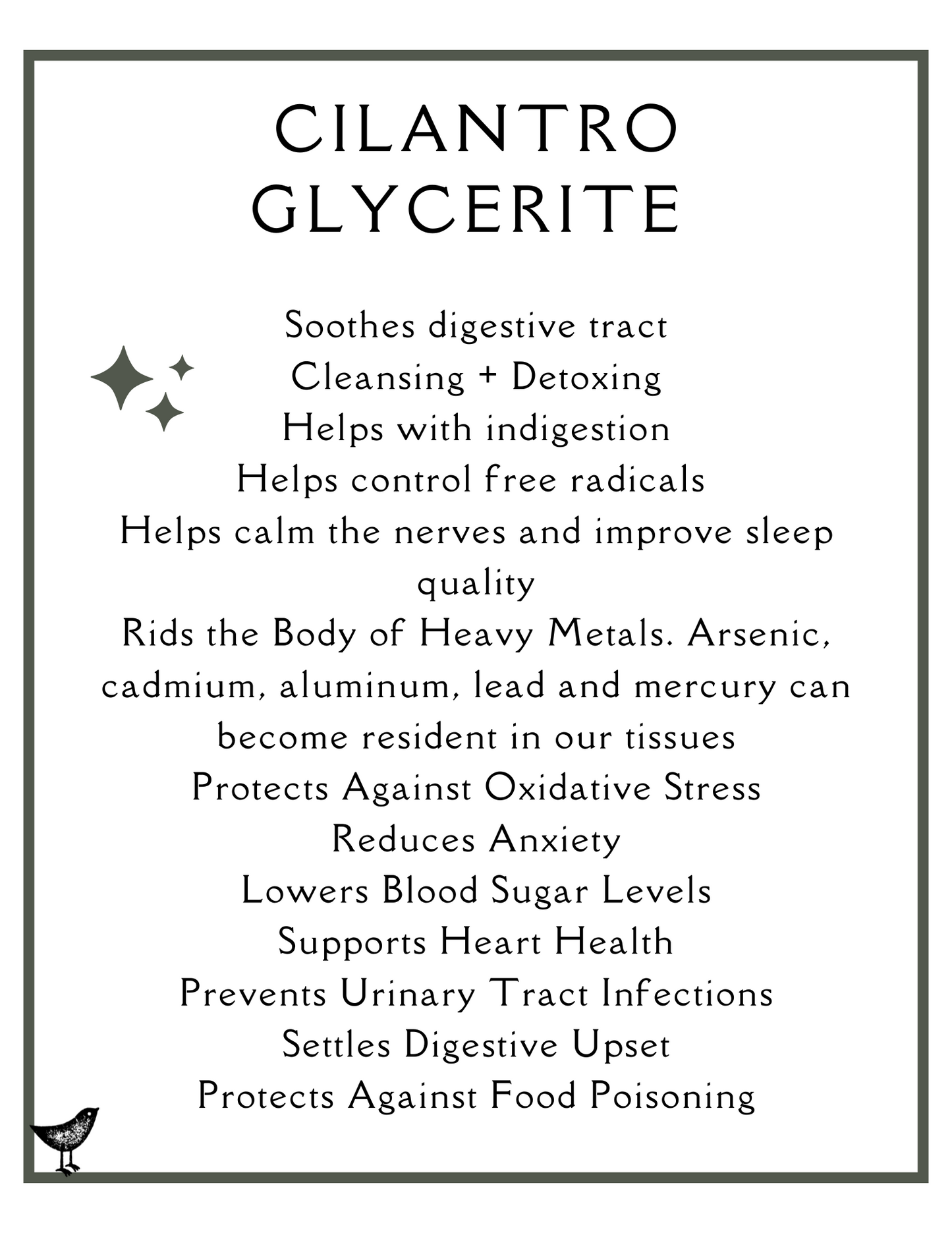 Cilantro Glycerite