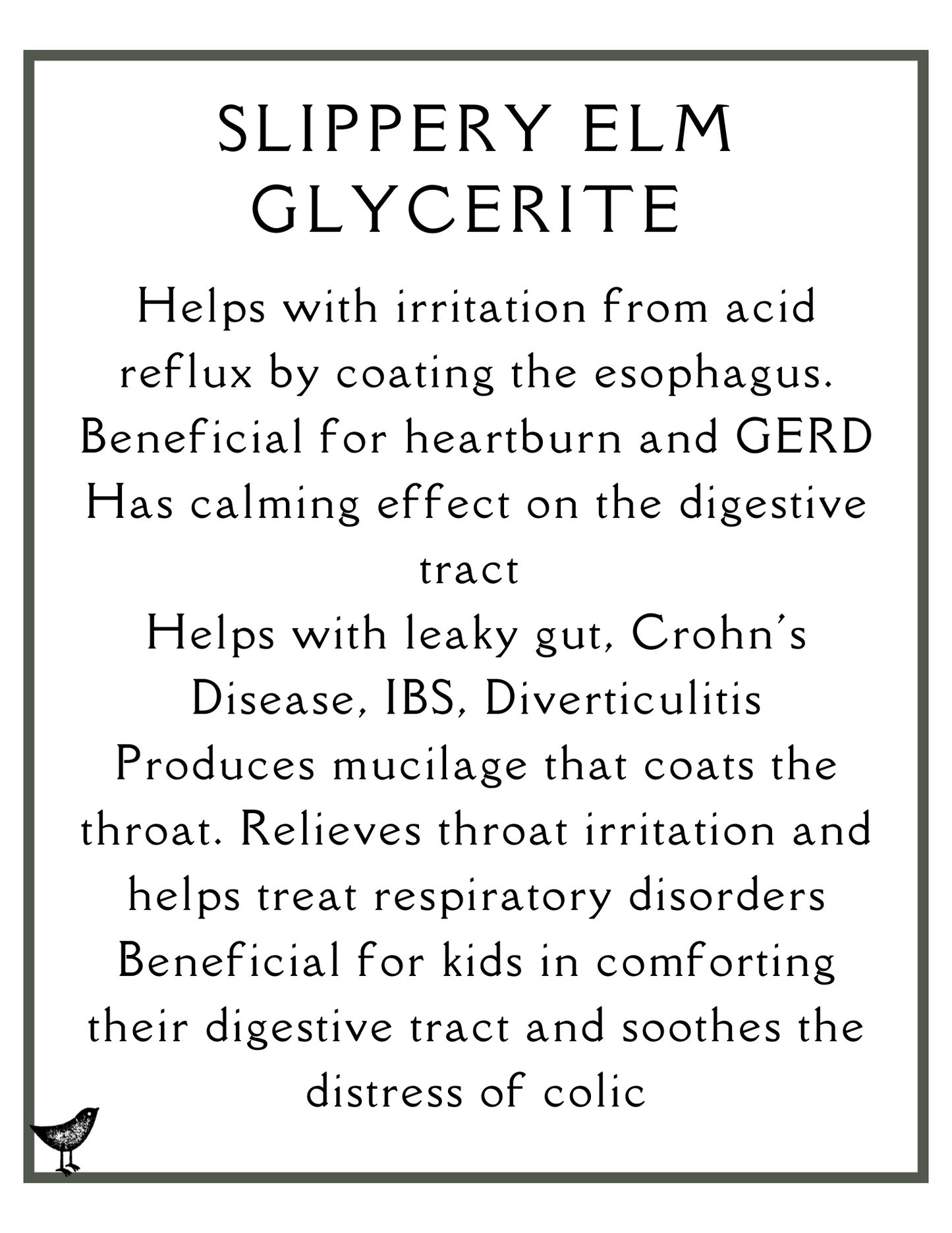 Slippery Elm Glycerite