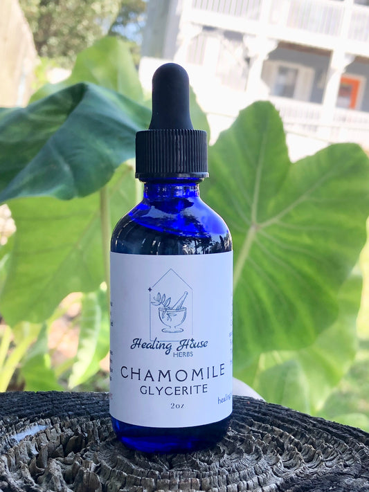 Chamomile Glycerite