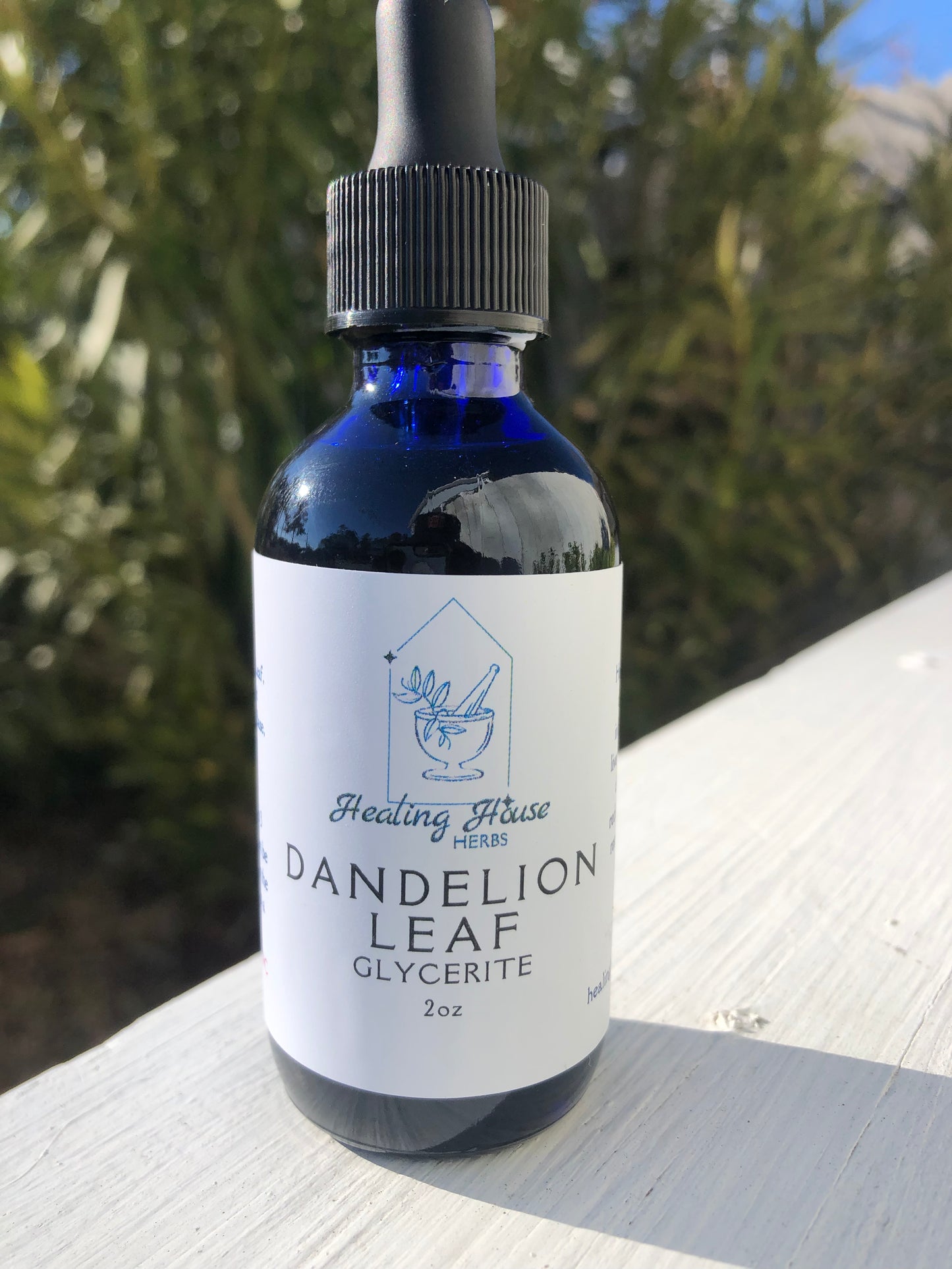 Dandelion Leaf Glycerite