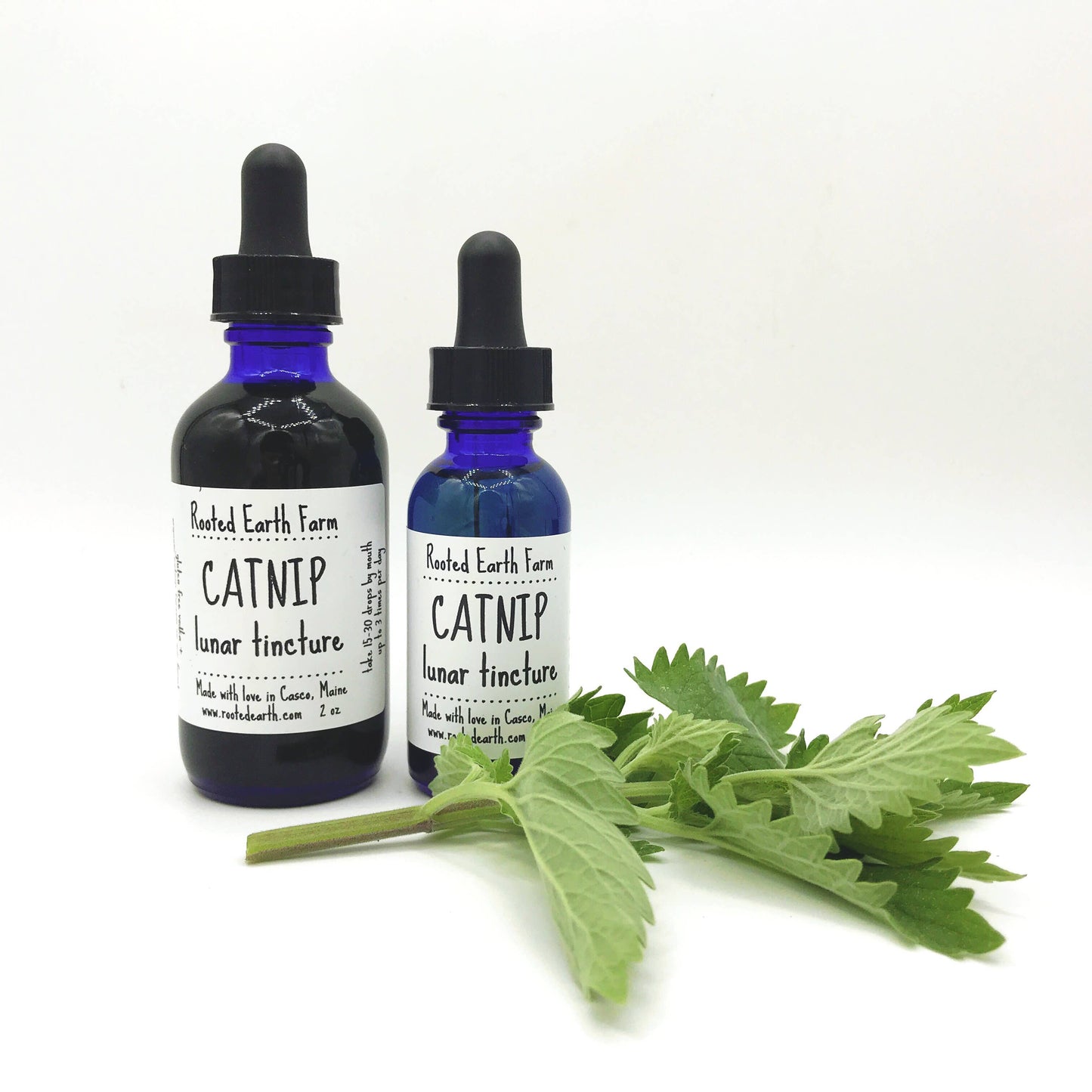 Catnip Tincture